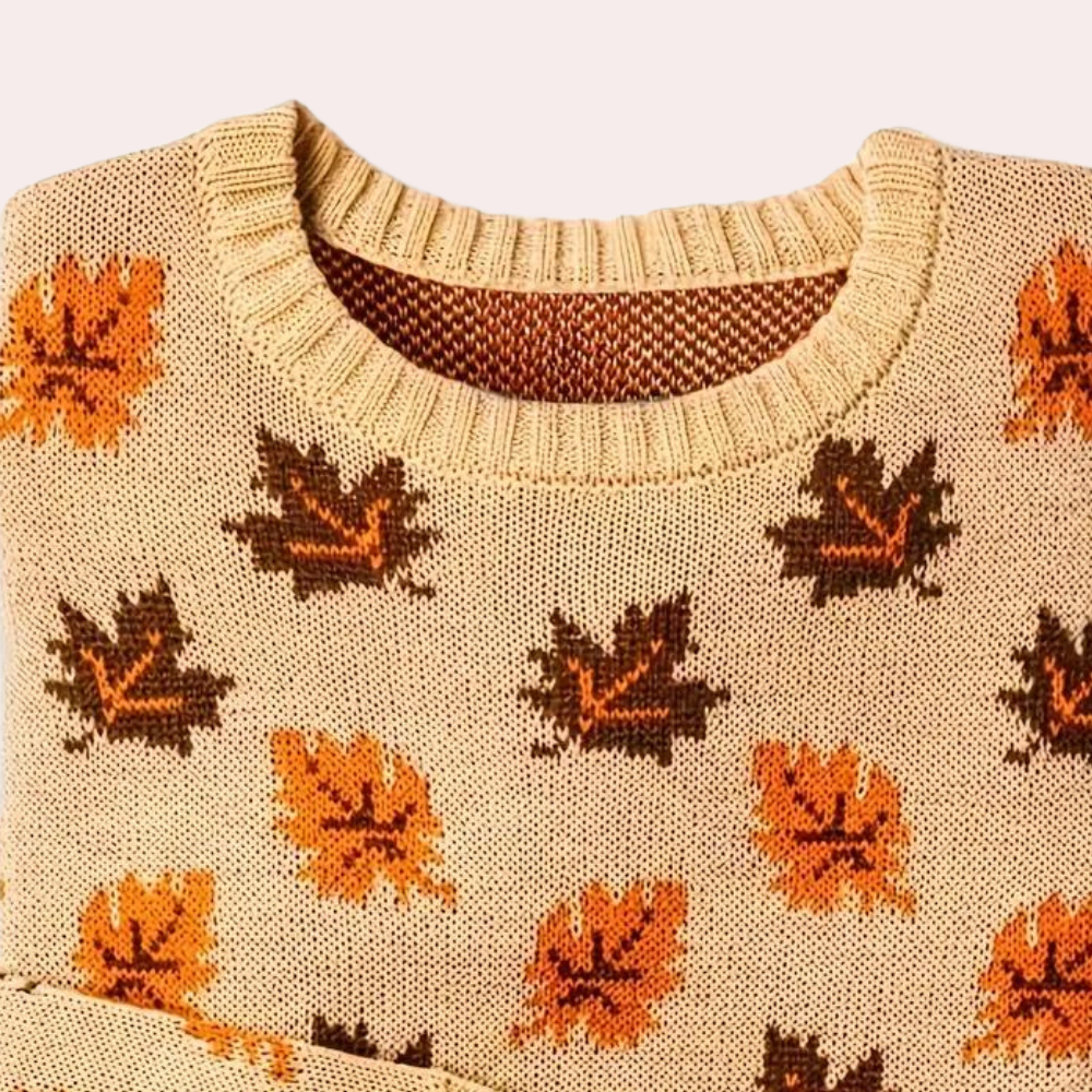 Aliah | Women's Patterned Crewneck Sweater